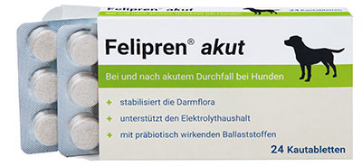Felipren akut Packung 24er