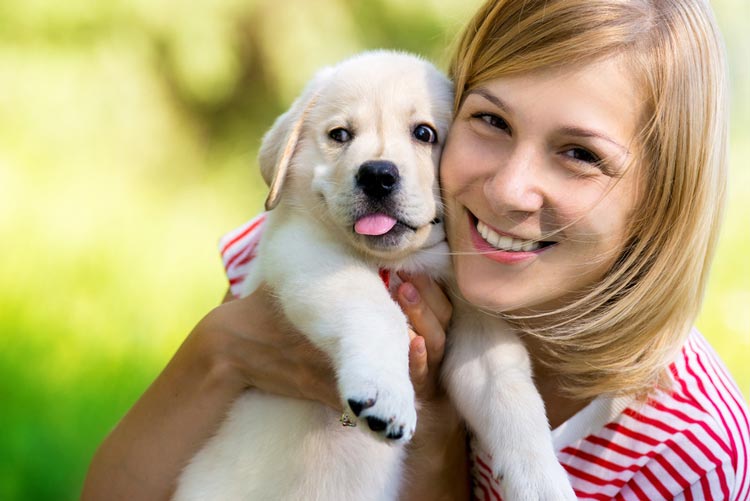 Flüssigkeits- und Elektrolythaushalt bei Hundedurchfall