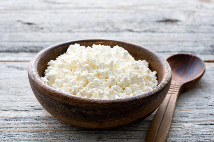 Hüttenkäse bei Hundedurchfall